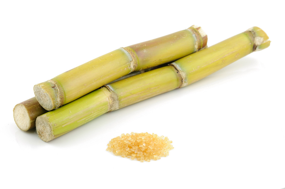 Sugar cane