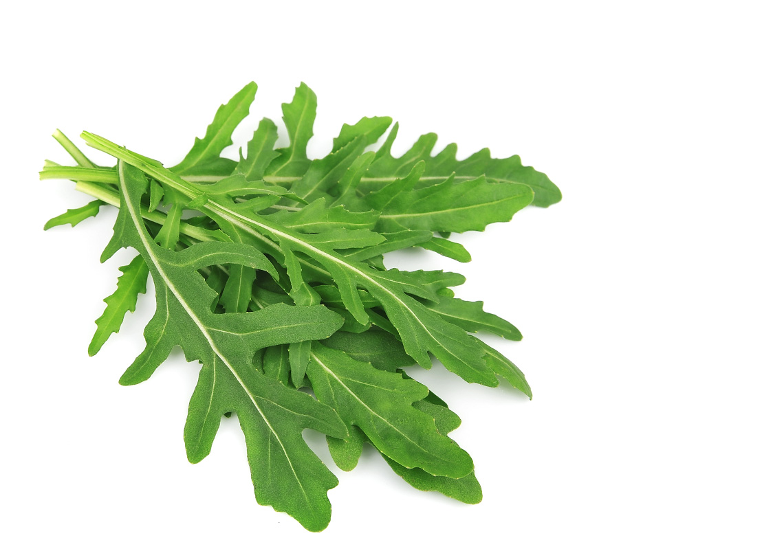 Arugula