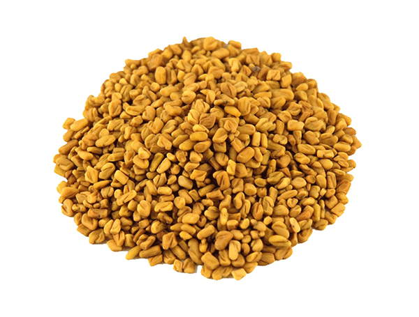 Fenugreek seed