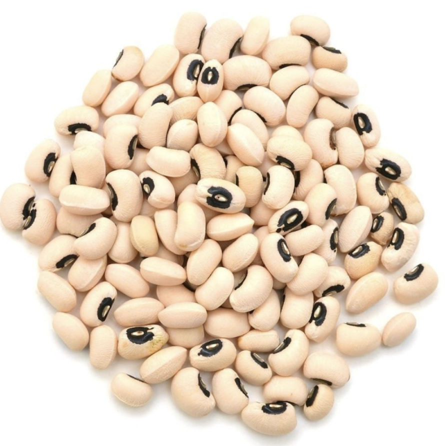 Cowpea