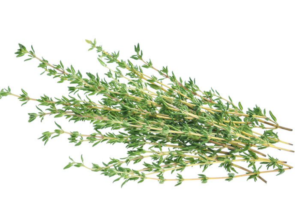 Thyme