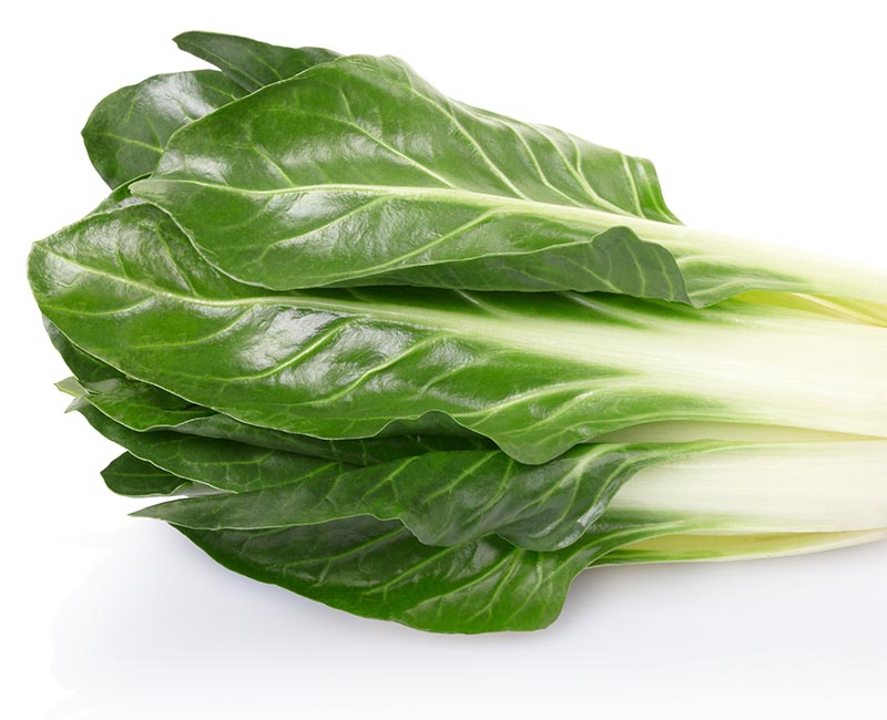 Chard