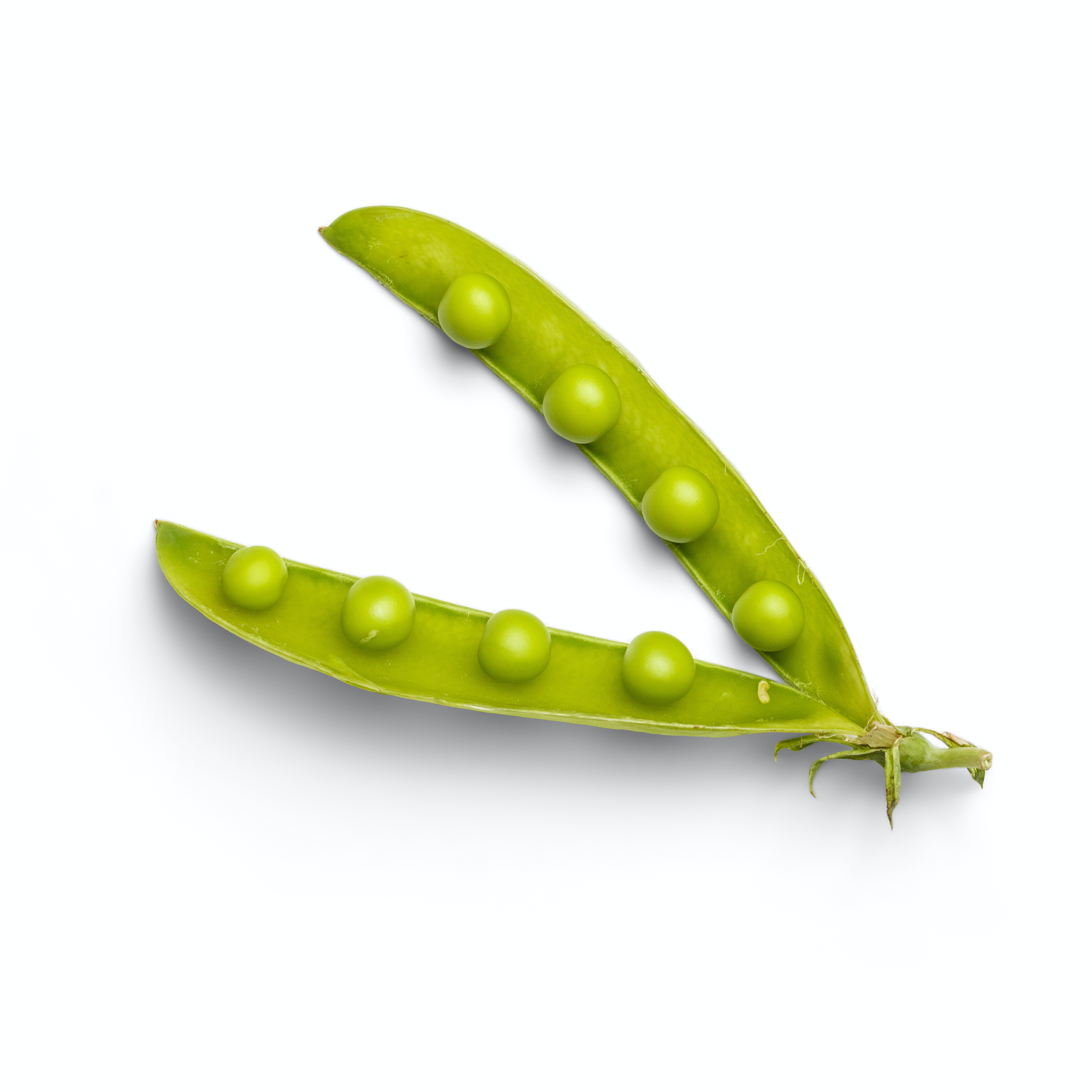 Peas