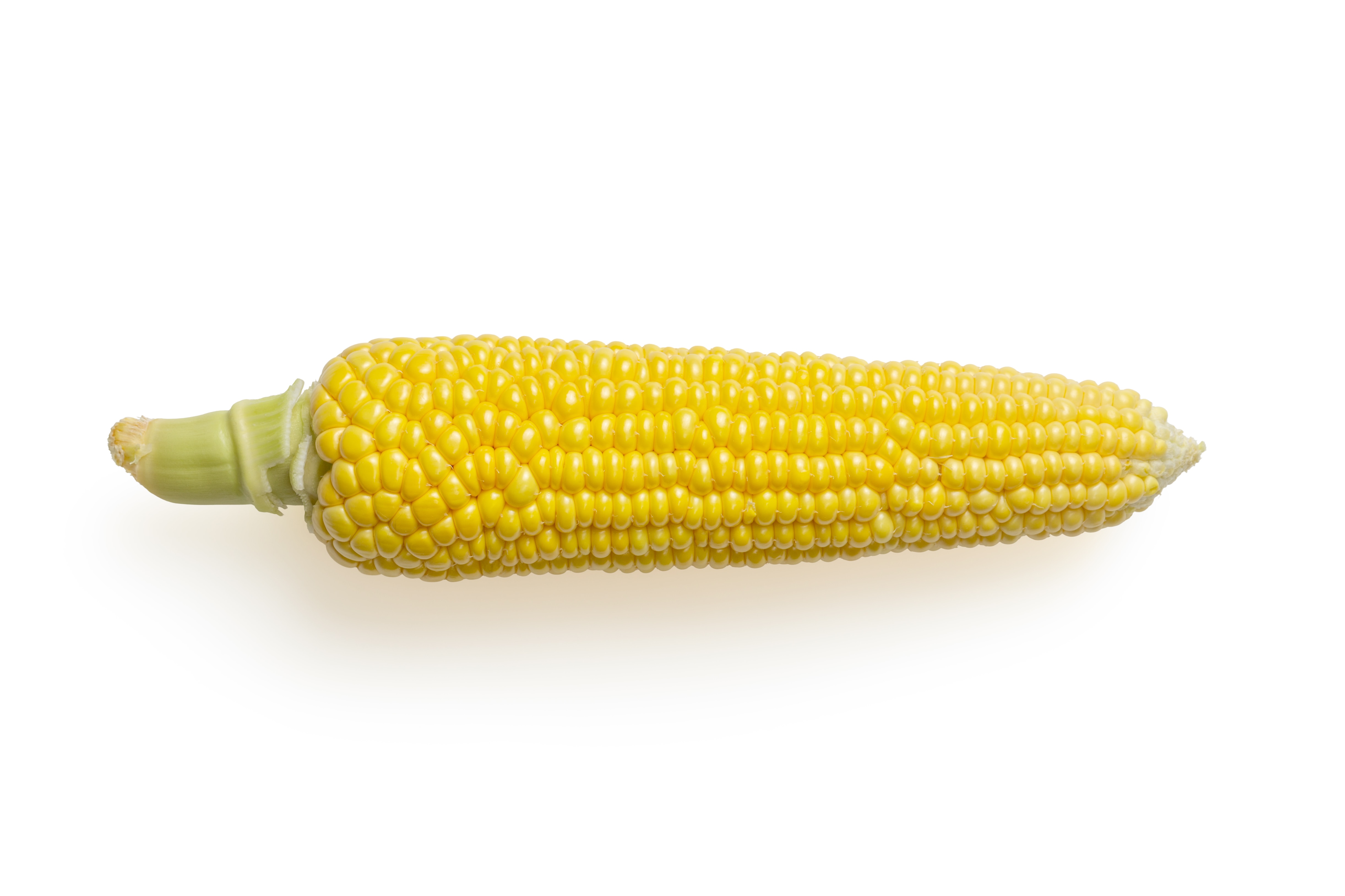 Yellow corn